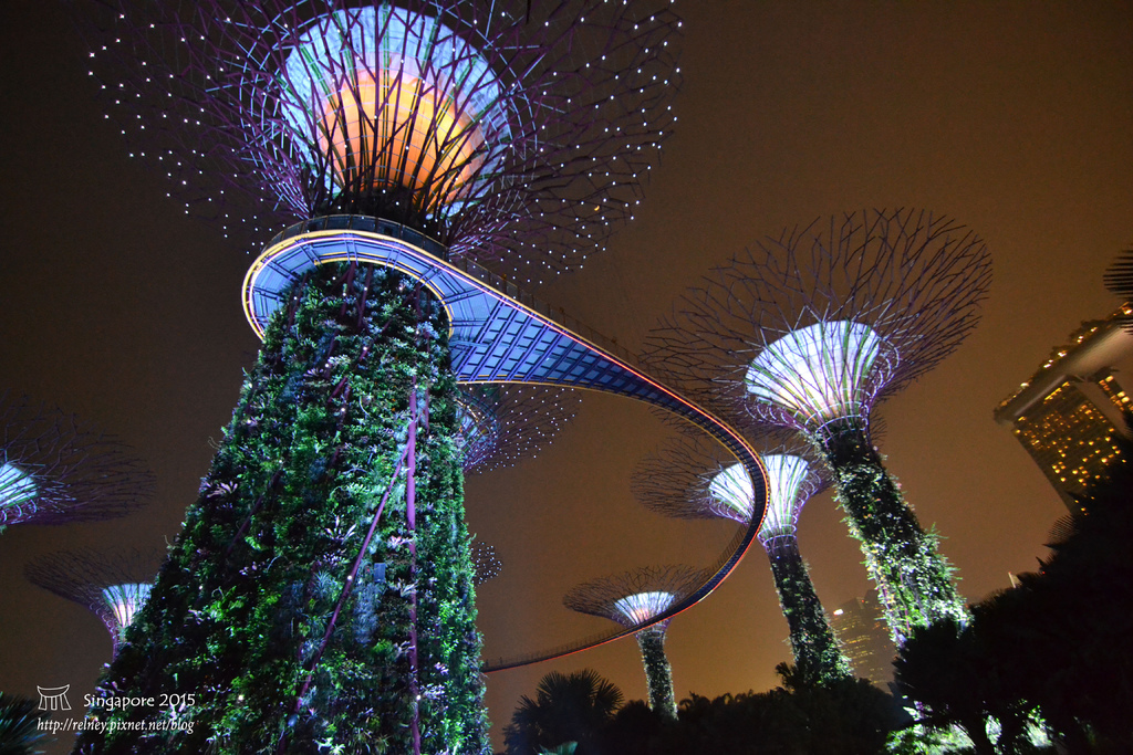 DSC_8670.JPG DSC_8670.JPG