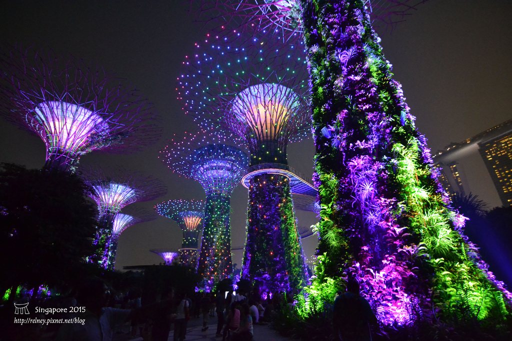 DSC_8704.JPG DSC_8704.JPG