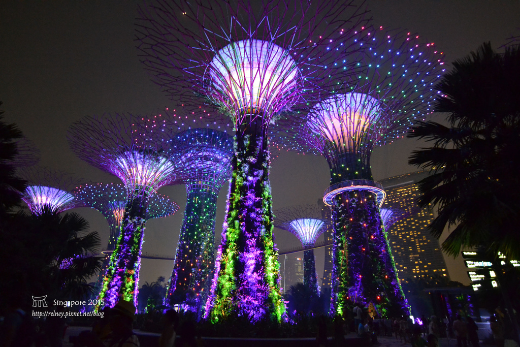 DSC_8705.JPG DSC_8705.JPG