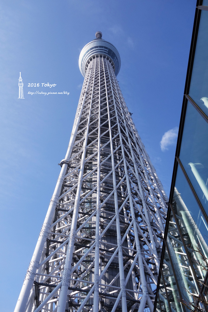 DSC01428.JPG DSC01428.JPG