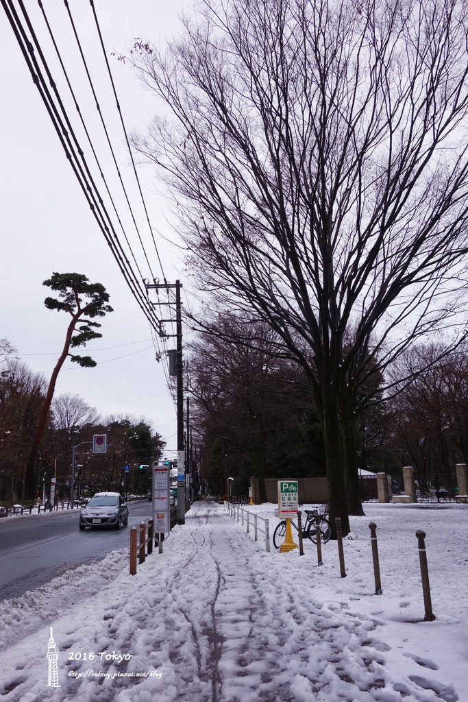 DSC01803.JPG DSC01803.JPG