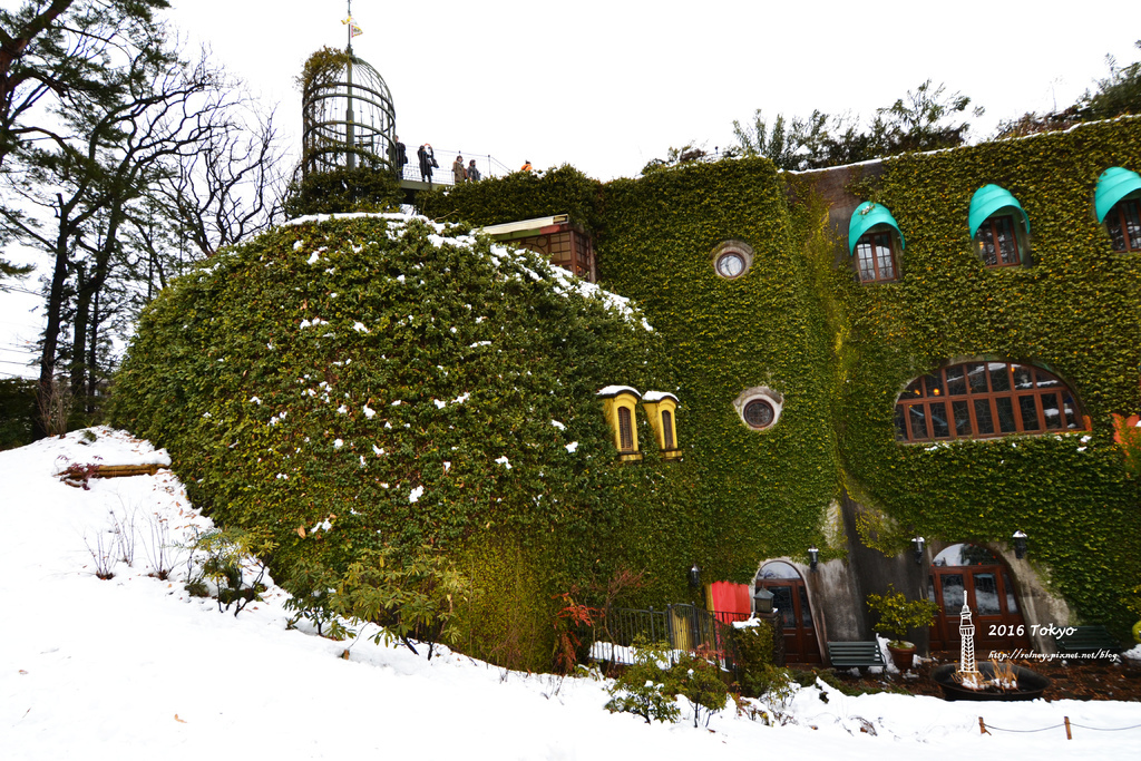 DSC01819_6.JPG DSC01819_6.JPG