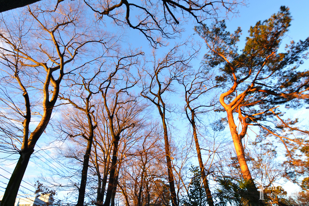 DSC01884_1.JPG DSC01884_1.JPG