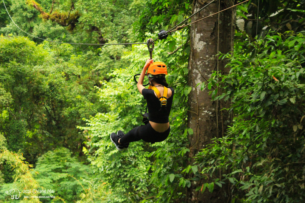 img_3972.jpg img_3972.jpg