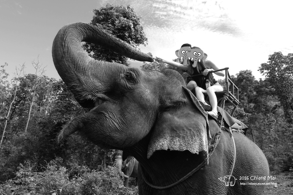 DSC01526_2.jpg DSC01526_2.jpg