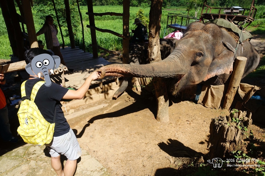 DSC01602.JPG DSC01602.JPG