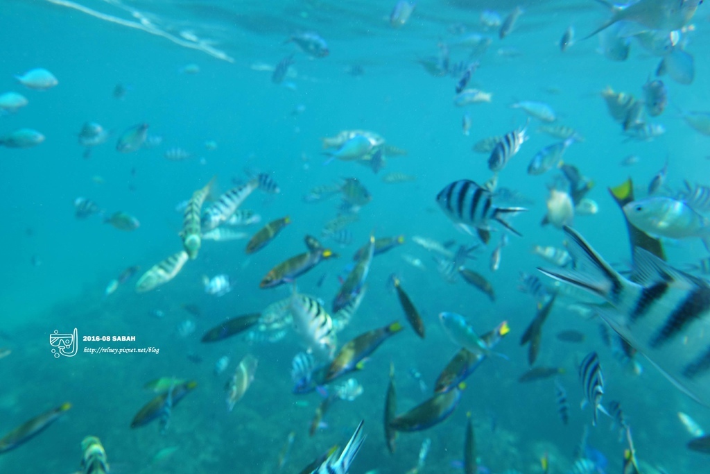 DSC04280.JPG DSC04280.JPG