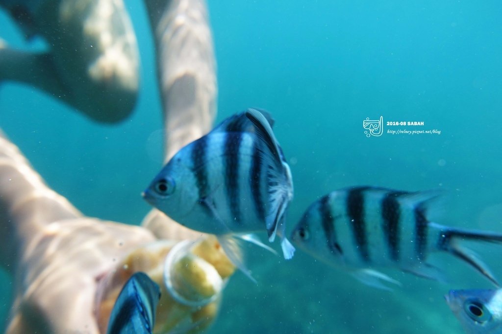 DSC04311.JPG DSC04311.JPG