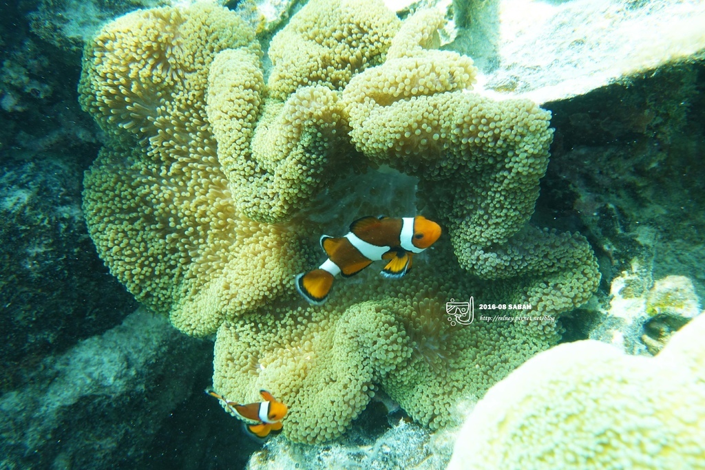 DSC04392.JPG DSC04392.JPG