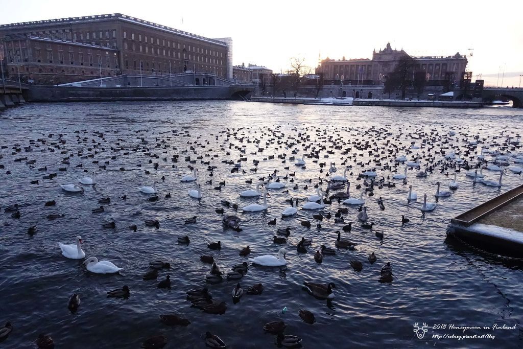 DSC06999.JPG DSC06999.JPG