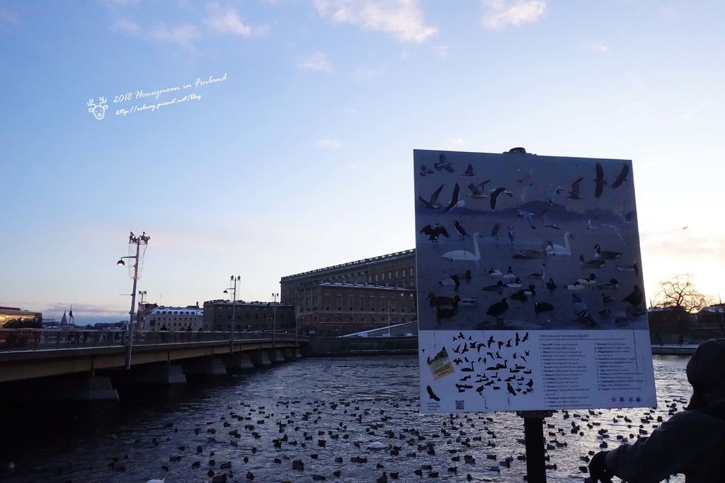 DSC07000.JPG DSC07000.JPG