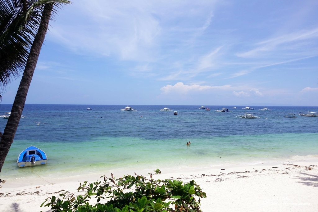 DSC00316.JPG DSC00316.JPG