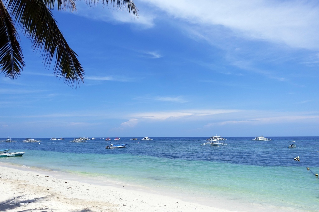 DSC00366.JPG DSC00366.JPG