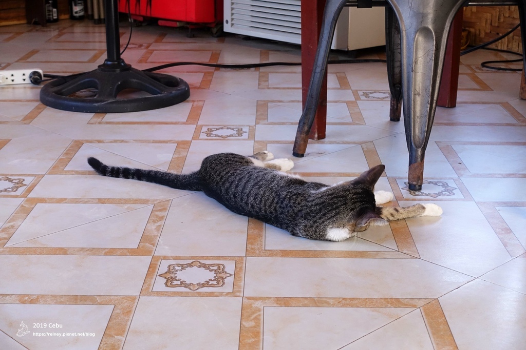 DSC00939.JPG DSC00939.JPG