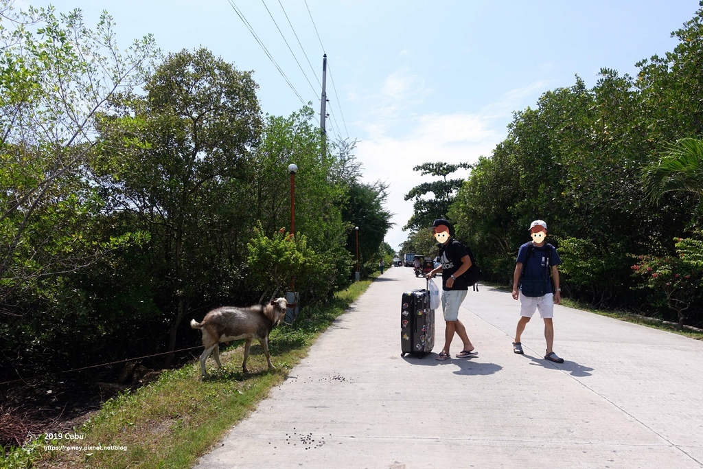 DSC01182.JPG DSC01182.JPG