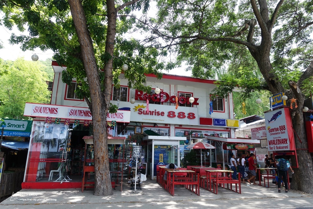 DSC01223.JPG DSC01223.JPG