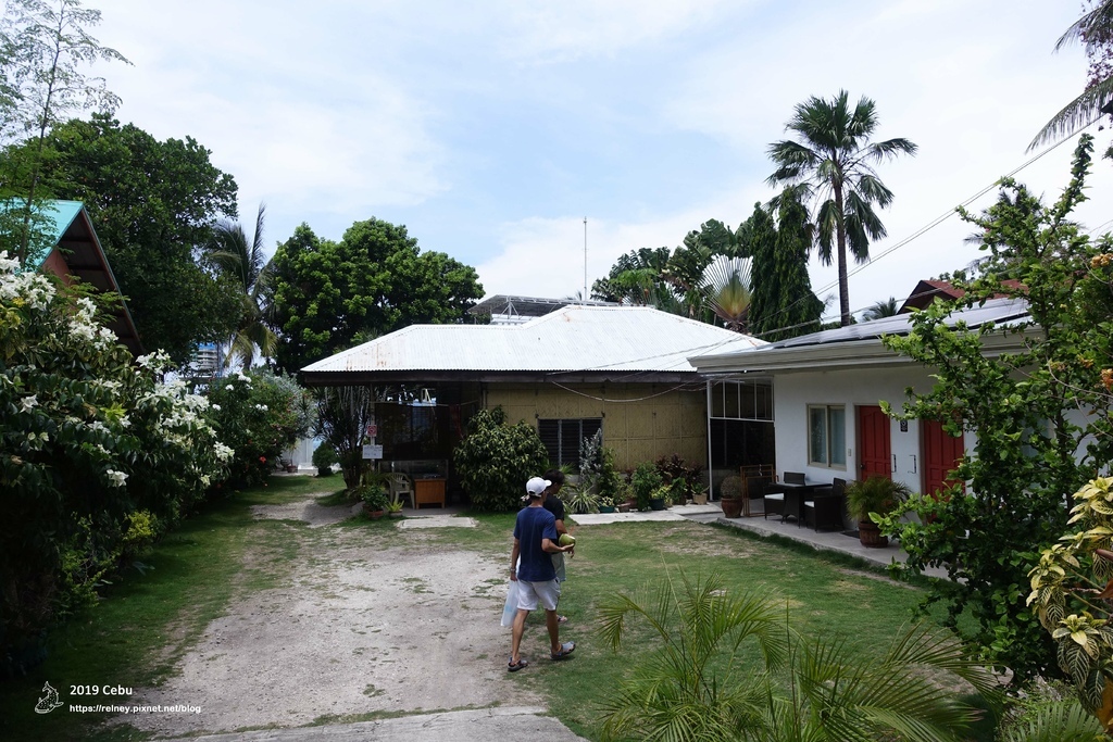 DSC01234.JPG DSC01234.JPG