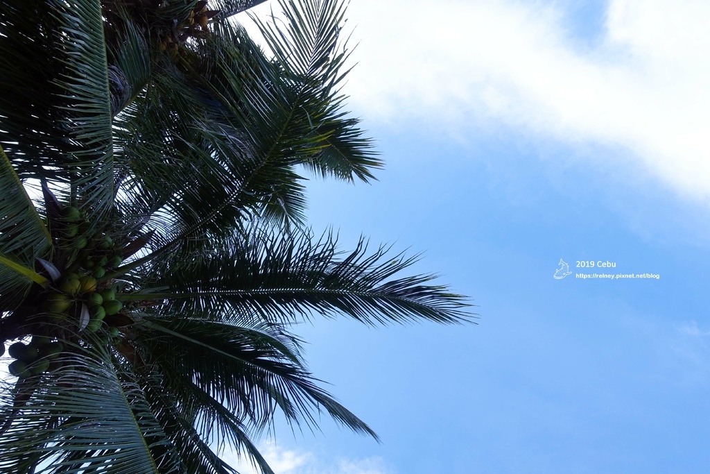 DSC01764.JPG DSC01764.JPG