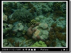 palau-day-3-大斷層-242