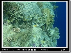 palau-day-3-大斷層-272