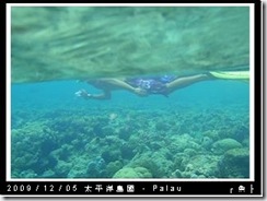 palau-day-3-大斷層-284