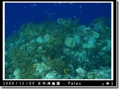 palau-day-3-大斷層-267