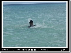 palau-day-4-無人島午餐-049