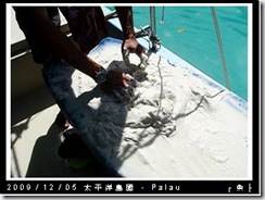 palau-day-2-023