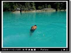 palau-day-2-019