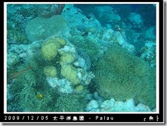 palau-day-3-大斷層-216