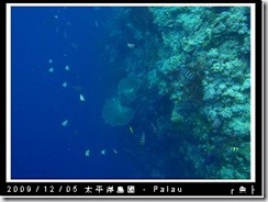 palau-day-3-大斷層-282