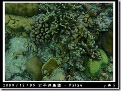 palau-day-3-大斷層-237