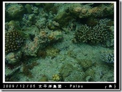 palau-day-3-大斷層-232