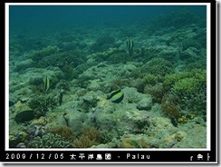 palau-day-3-大斷層-244