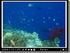 palau-day-3-大斷層-265