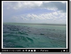 palau-day-3-出海-016