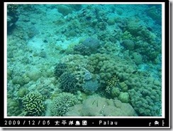 palau-day-3-大斷層-277