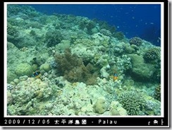 palau-day-3-大斷層-263