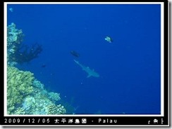 palau-day-3-大斷層-255