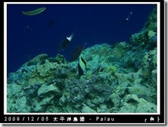 palau-day-3-大斷層-289