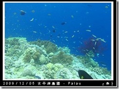 palau-day-3-大斷層-264