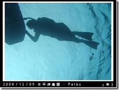 palau-day-3-大斷層-197