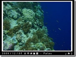 palau-day-3-大斷層-252