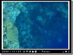 palau-day-3-大斷層-262