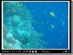 palau-day-3-大斷層-208