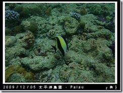 palau-day-3-大斷層-247