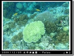 palau-day-3-大斷層-266