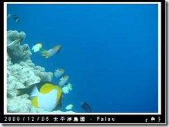 palau-day-3-大斷層-224