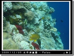 palau-day-3-大斷層-221