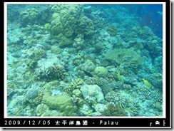 palau-day-3-大斷層-279